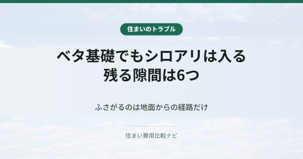 ベタ基礎でもシロアリは入る。残る隙間は6つ
