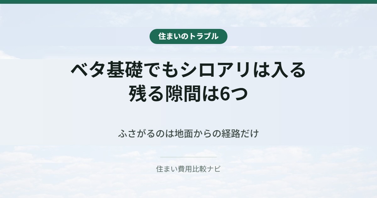 ベタ基礎でもシロアリは入る。残る隙間は6つ