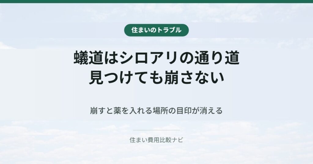 蟻道はシロアリの通り道。見つけても崩さない