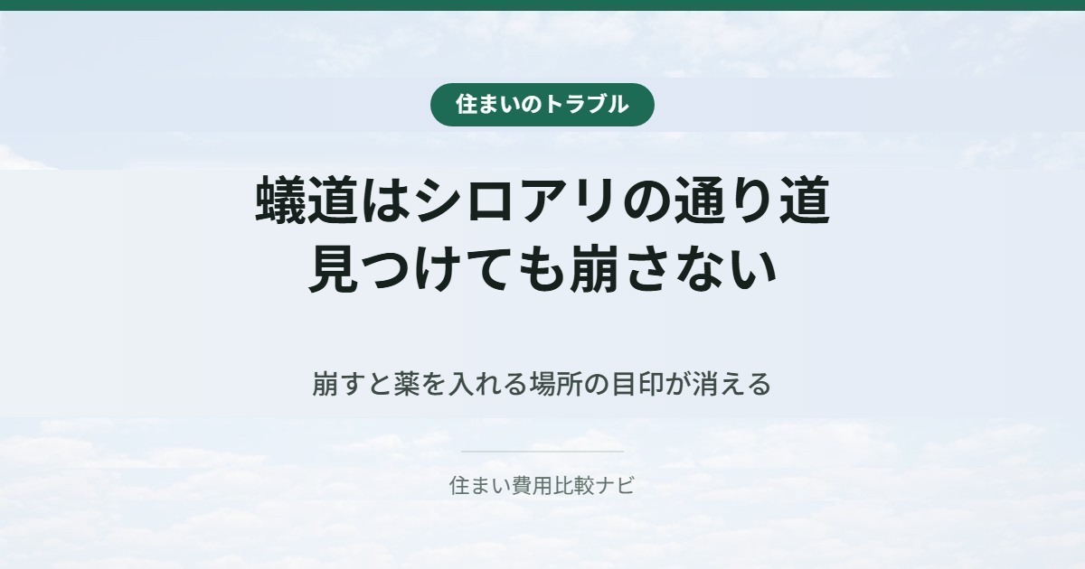 蟻道はシロアリの通り道。見つけても崩さない