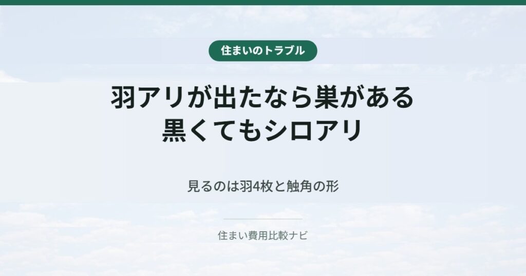 シロアリの羽アリ｜出たなら巣がある。黒くてもシロアリで、見るのは羽4枚と触角